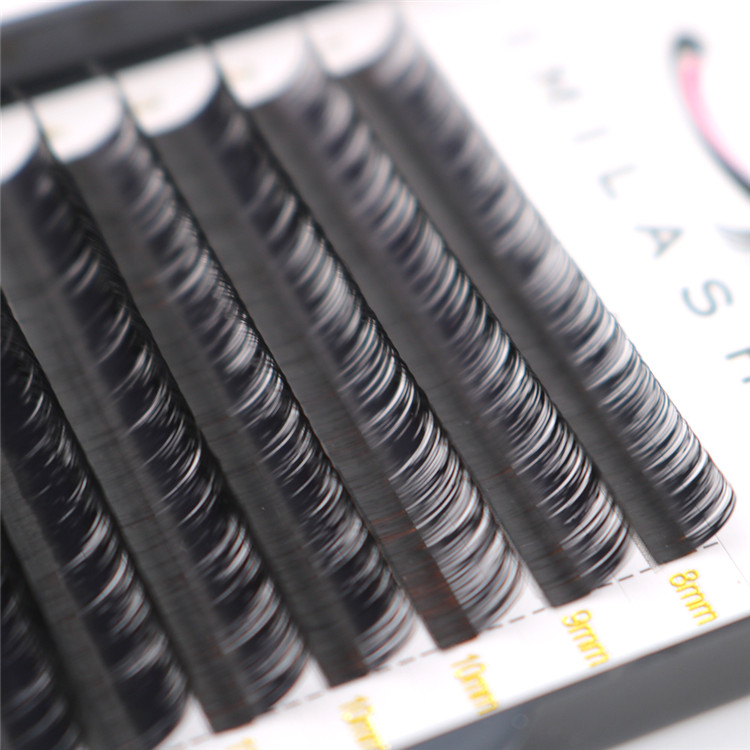 Brush on false individual false eyelashes-D